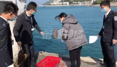竟然还敢卖野味？！深圳立案查处3宗违法经营