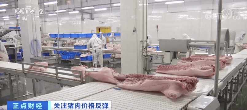 突然！猪肉价格反弹！一公斤涨近7元，接下来怎